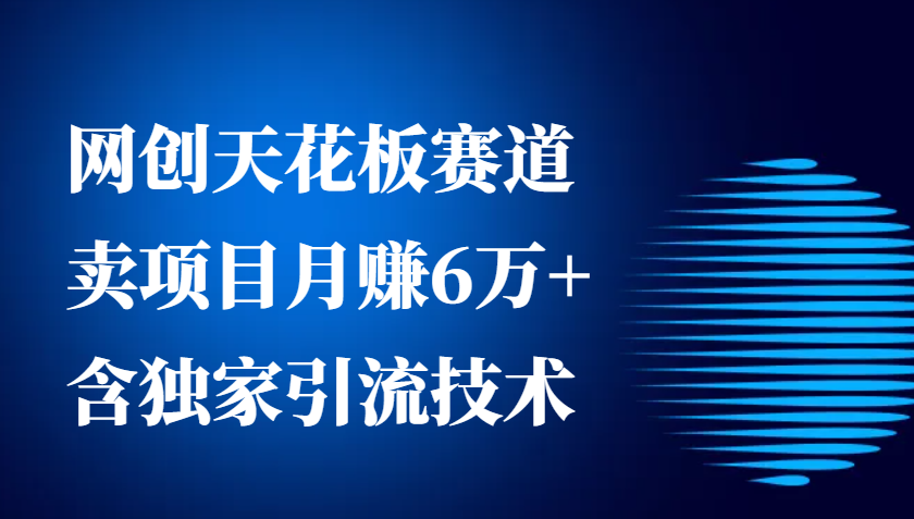 网创天花板赛道，卖项目月赚6万+，含独家引流技术(共26节课)-知芽创业社