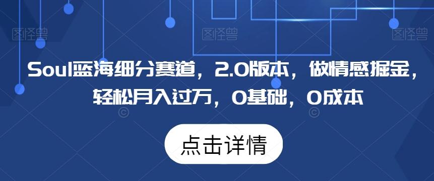 Soul蓝海细分赛道，2.0版本，做情感掘金，轻松月入过万，0基础，0成本-知芽创业社