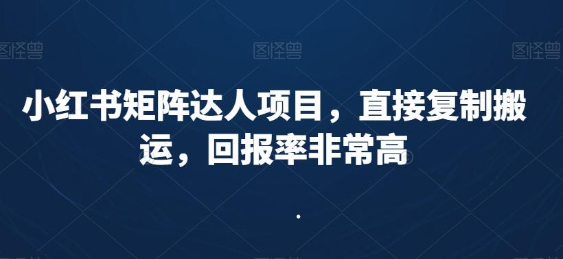 小红书矩阵达人项目，直接复制搬运，回报率非常高-知芽创业社