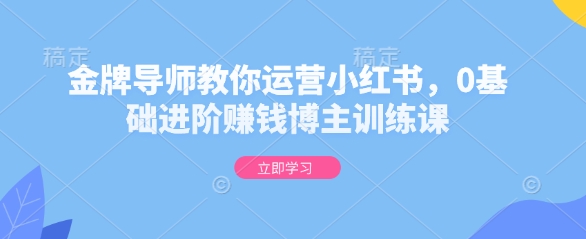 金牌导师教你运营小红书，0基础进阶赚钱博主训练课-知芽创业社