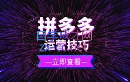 力辛电商·拼多多强付费店群玩法-知芽创业社