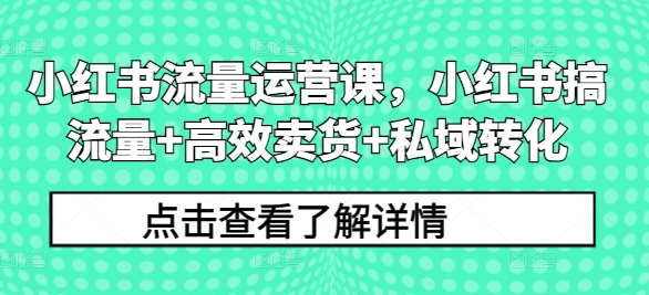 小红书流量运营课，小红书搞流量+高效卖货+私域转化-知芽创业社
