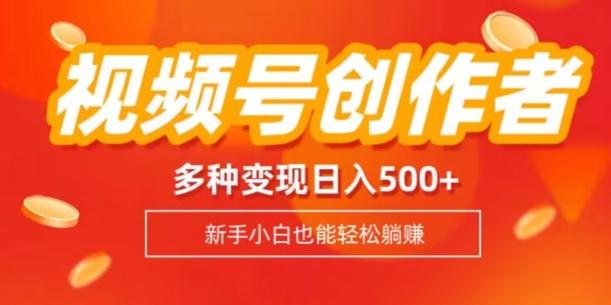 视频号创作者计划，多种变现方式，日入500+【内附1080g视频素材】-知芽创业社