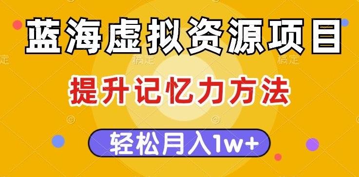 蓝海虚拟资源项目，提升记忆力方法，多种变现方式，轻松月入1w+【揭秘】-知芽创业社