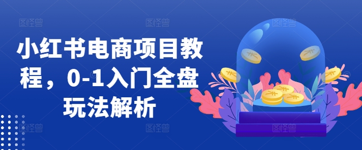 小红书电商项目教程，0-1入门全盘玩法解析-知芽创业社