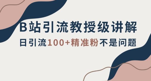 B站引流教授级讲解，细节满满，日引流100+精准粉不是问题【揭秘】-知芽创业社