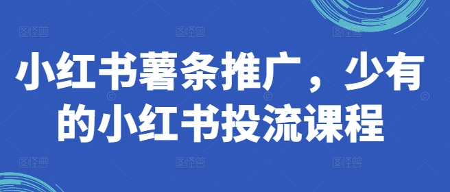 小红书薯条推广，少有的小红书投流课程-知芽创业社