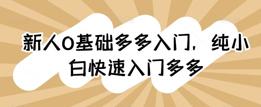 新人0基础多多入门，​纯小白快速入门多多-知芽创业社