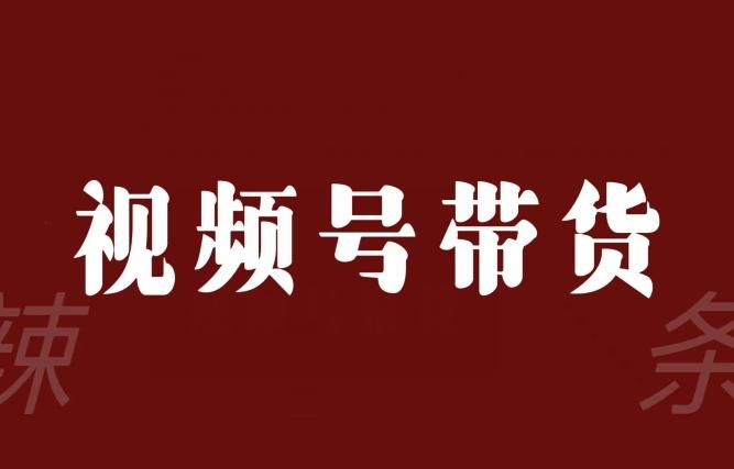 视频号带货联盟，赚信息差的带货钱，只需手机随时随地都可以做！-知芽创业社