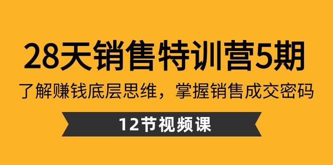 28天销售特训营5期：了解赚钱底层思维，掌握销售成交密码（12节课）-知芽创业社