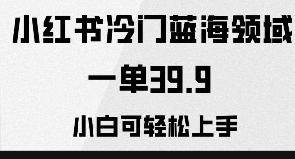 小红书冷门蓝海领域，一单39.9，小白可轻松上手-知芽创业社