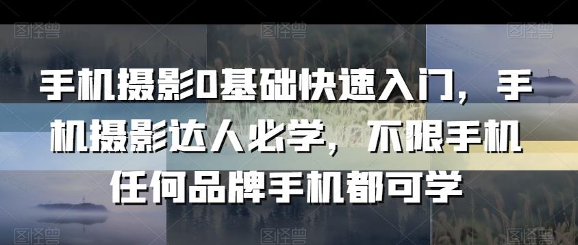 手机摄影0基础快速入门，手机摄影达人必学，不限手机任何品牌手机都可学-知芽创业社
