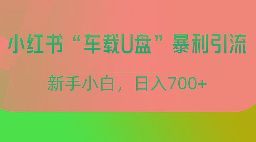 小红书“车载U盘”项目，暴利引流，新手小白轻松日入700+-知芽创业社