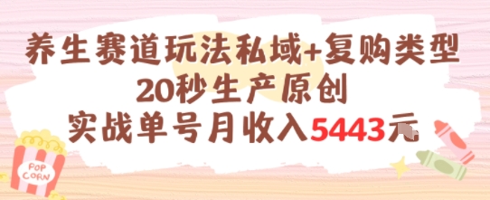 养生赛道玩法私域+复购类型，20秒生产原创实战单号月收入5k+-知芽创业社