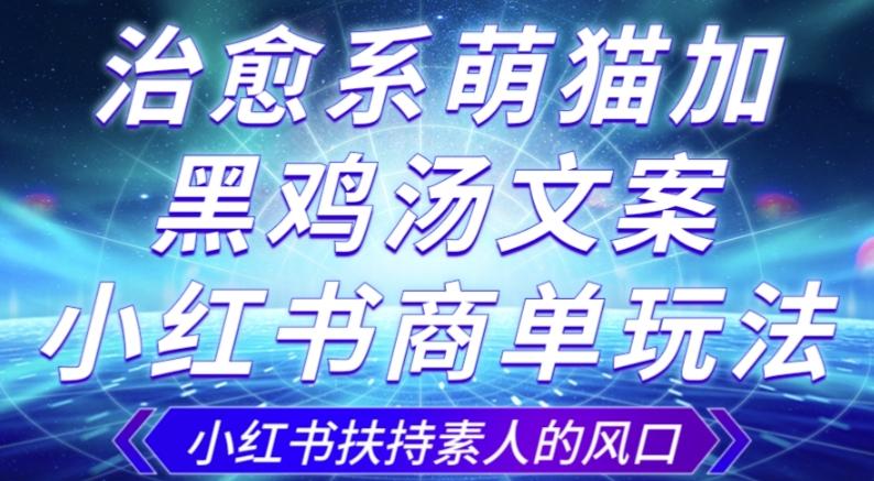 治愈系萌猫加+黑鸡汤文案，小红书商单玩法，3~10天涨到1000粉，一单200左右-知芽创业社