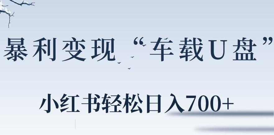 小红书“车载U盘”暴利引流，日入700+-知芽创业社