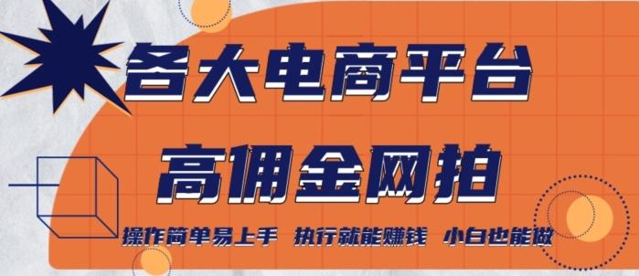 各大电商平台高佣金网拍，操作简单易上手，执行就能赚钱，小白也能做-知芽创业社