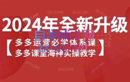 海神老师·拼多多运营必学体系课-知芽创业社
