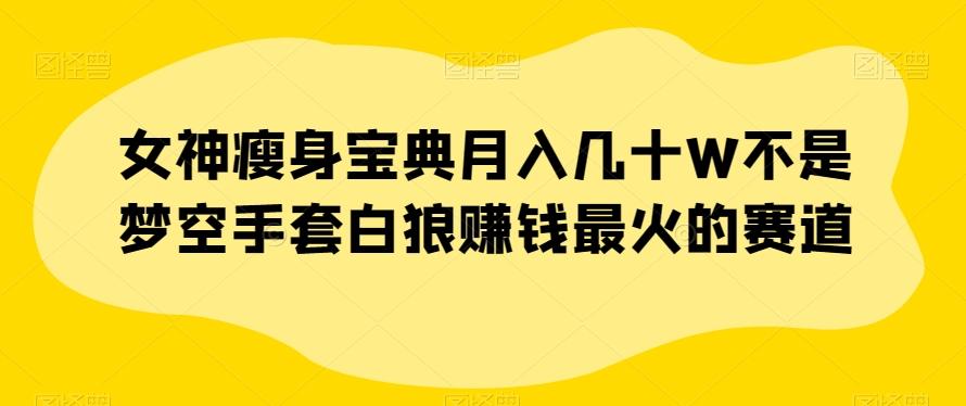 女神瘦身宝典月入几十W不是梦空手套白狼赚钱最火的赛道【揭秘】-知芽创业社