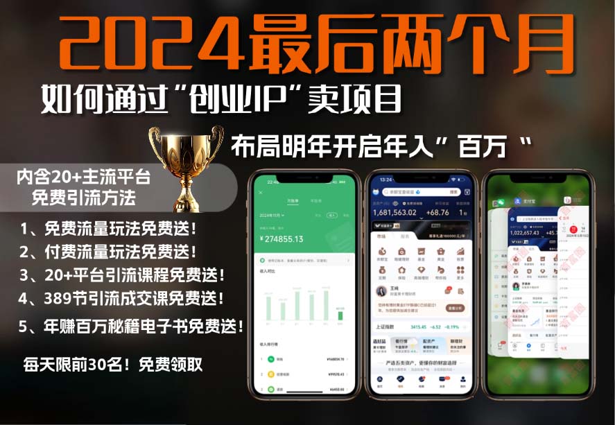 2024最后两个月如何通过”创业IP“卖项目年入”百万“,创业IP+最强引流…-知芽创业社