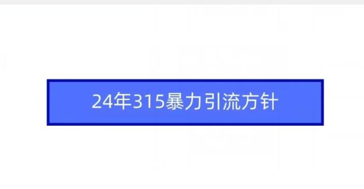 24年315暴力引流方针-知芽创业社