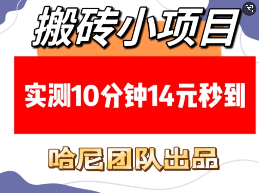 搬砖小项目，实测10分钟14元秒到，每天稳定几张(赠送必看稳定)-知芽创业社