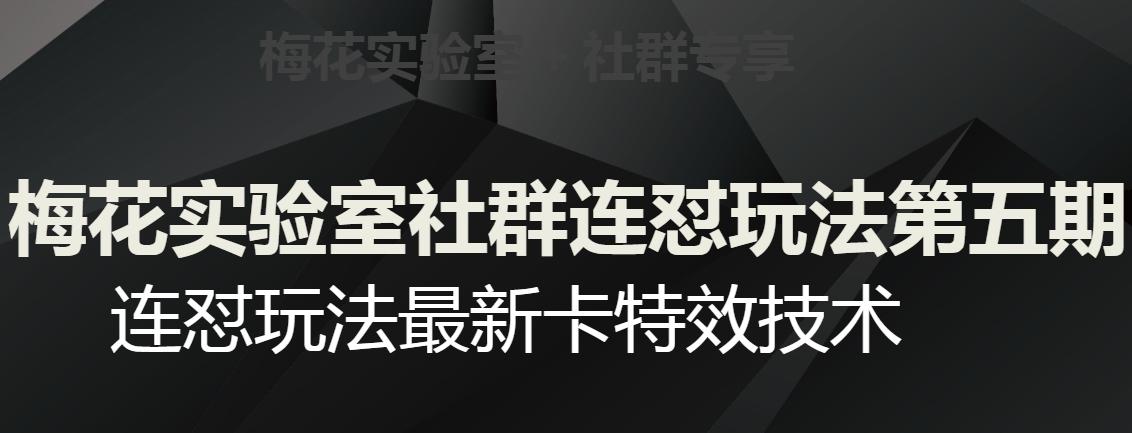 梅花实验室社群连怼玩法第五期，视频号连怼玩法最新卡特效技术-知芽创业社