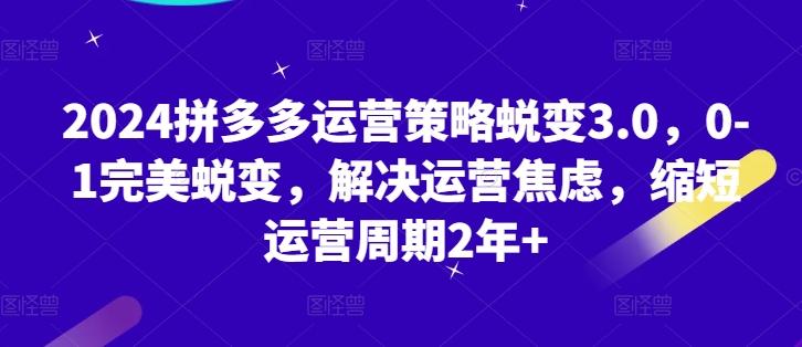 2024拼多多运营策略蜕变3.0，0-1完美蜕变，解决运营焦虑，缩短运营周期2年+-知芽创业社