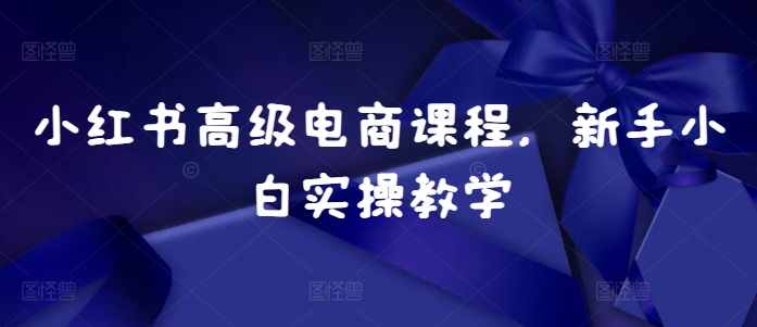 小红书高级电商课程，新手小白实操教学-知芽创业社