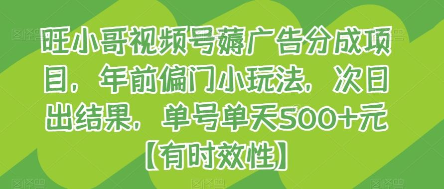 旺小哥视频号薅广告分成项目，年前偏门小玩法，次日出结果，单号单天500+元【有时效性】-知芽创业社