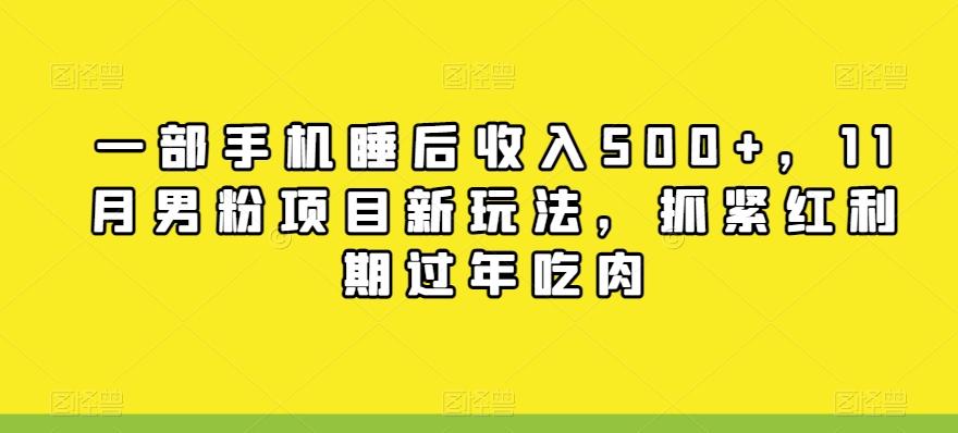 一部手机睡后收入500+，11月男粉项目新玩法，抓紧红利期过年吃肉-知芽创业社