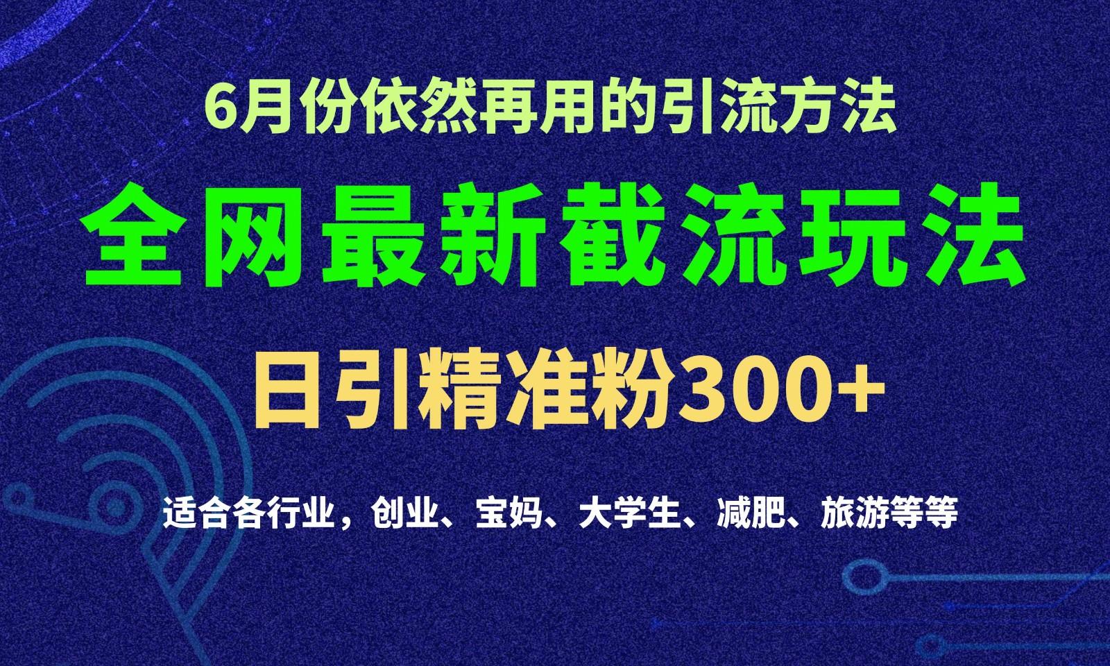 2024全网最新截留玩法,每日引流突破300+-知芽创业社