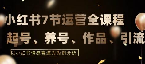 7节小红书运营实战全教程，结合最新情感赛道，打通小红书运营全流程【揭秘】-知芽创业社