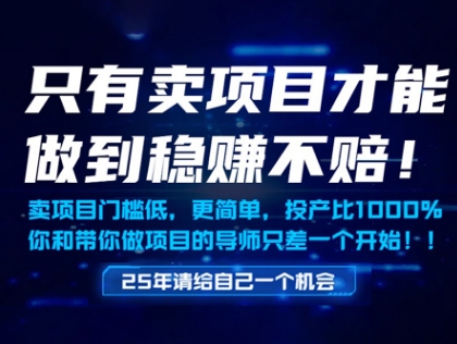 只有卖项目才能做到稳挣不赔，门槛低，更简单，你也可以年入百个W【揭秘】-知芽创业社