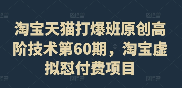 淘宝天猫打爆班原创高阶技术第60期，淘宝虚拟怼付费项目-知芽创业社