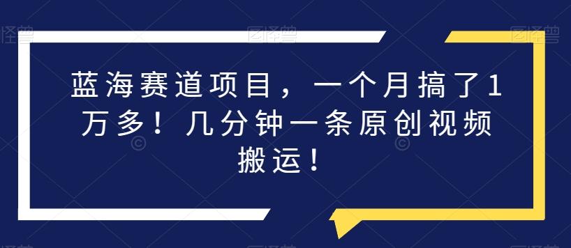 蓝海赛道项目，一个月搞了1万多！几分钟一条原创视频搬运！-知芽创业社