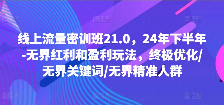 线上流量密训班21.0，24年下半年-无界红利和盈利玩法，终极优化/无界关键词/无界精准人群-知芽创业社