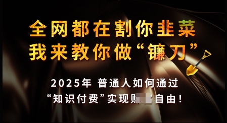 知识付费如何做到月入过W+，2025我来教你做“镰刀”【揭秘】-知芽创业社