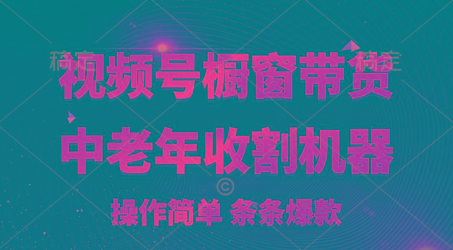 [你的孩子成功取得高位]视频号最火爆赛道，橱窗带货，流量分成计划，条…-知芽创业社