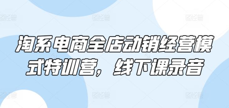 淘系电商全店动销经营模式特训营，线下课录音-知芽创业社