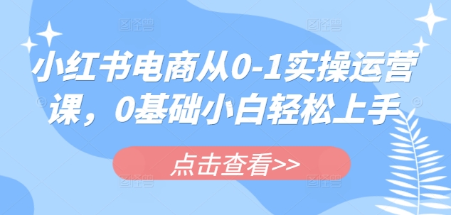 小红书电商从0-1实操运营课，0基础小白轻松上手-知芽创业社