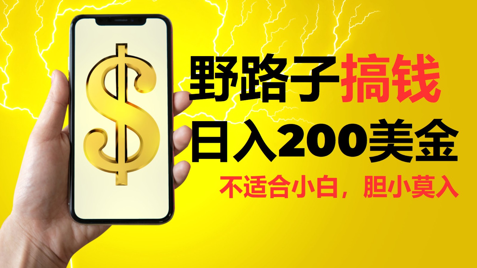 挂机野路子搞钱，日入200美金，路子很野，小白莫入-知芽创业社
