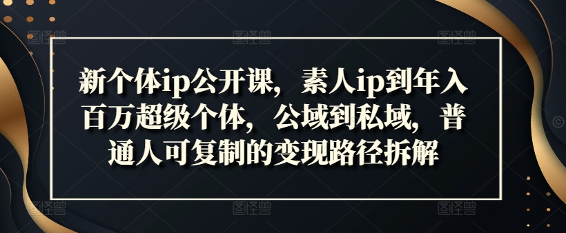 新个体ip公开课，素人ip到年入百万超级个体，公域到私域，普通人可复制的变现路径拆解-知芽创业社