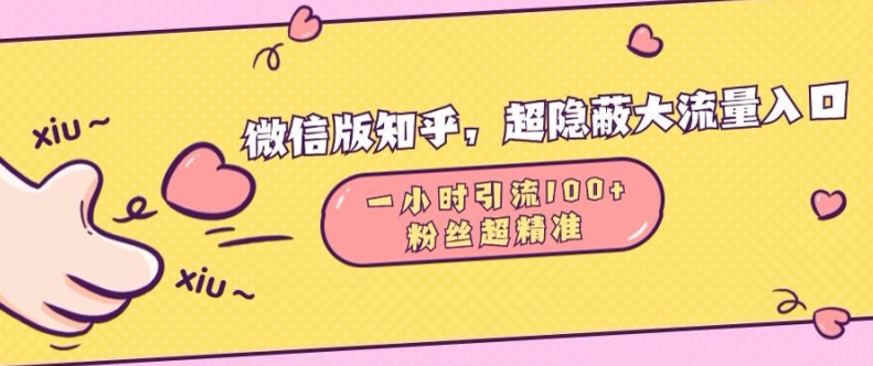 微信版知乎，超隐蔽流量入口1小时引流100人，粉丝质量超高【揭秘】-知芽创业社