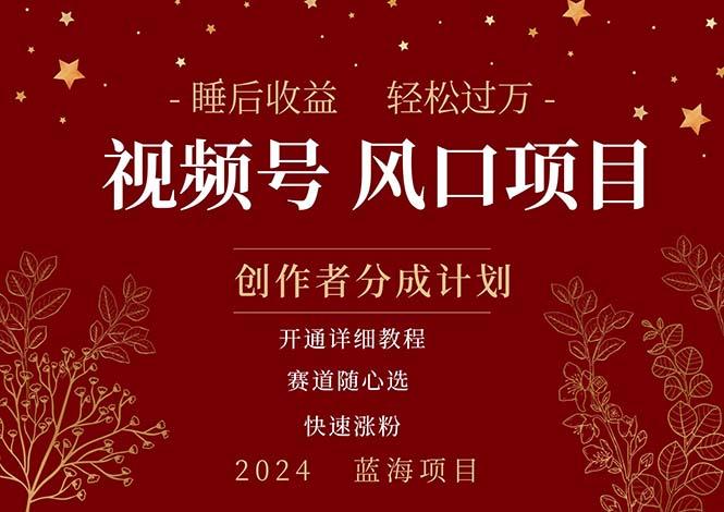 拥有睡眠收益的微信视频号大风口项目，轻松月入过万+，多赛道选择，可...-知芽创业社