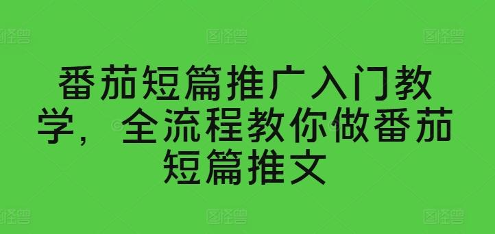 番茄短篇推广入门教学，全流程教你做番茄短篇推文-知芽创业社