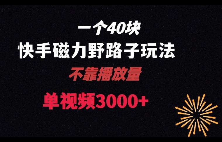 一个40块，快手联合美团磁力新玩法，无视机制野路子玩法，单视频收益4位数【揭秘】-知芽创业社