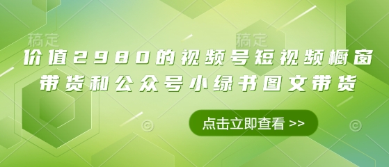 价值2980的视频号短视频橱窗带货和公众号小绿书图文带货-知芽创业社