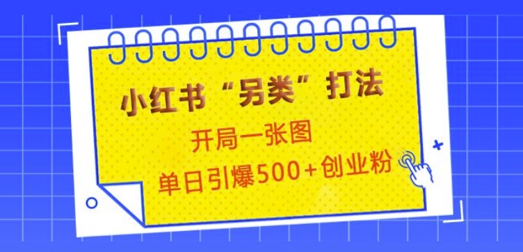 小红书“另类”打法，开局一张图，单日引爆500+精准创业粉【揭秘】-知芽创业社