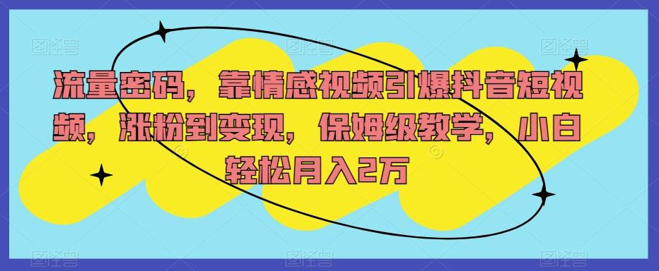 流量密码，靠情感视频引爆抖音短视频，涨粉到变现，保姆级教学，小白轻松月入2万【揭秘】-知芽创业社